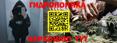 каннабис Будённовск