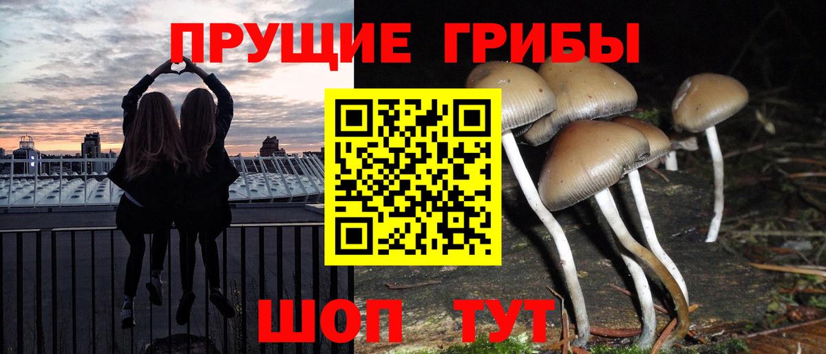 Псилоцибиновые грибы GOLDEN TEACHER  Вход с VPN  купить наркоту  Галлюциногенные грибы Magic Shrooms  Туймазы 
