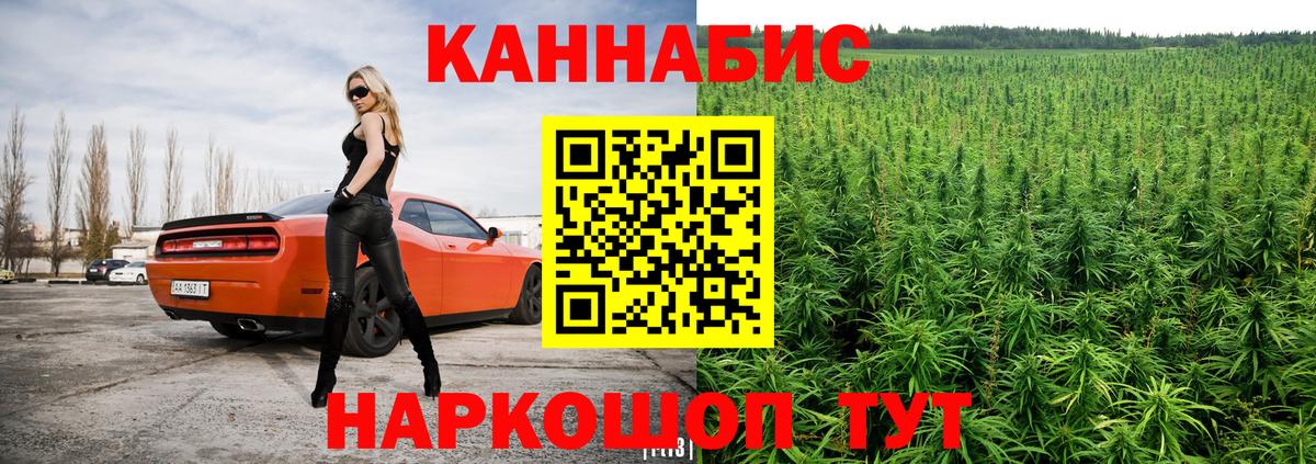 Шишки марихуана White Widow  Канабис конопля  Туймазы  Вход с VPN  Конопля MAZAR  Бошки Шишки марихуана 